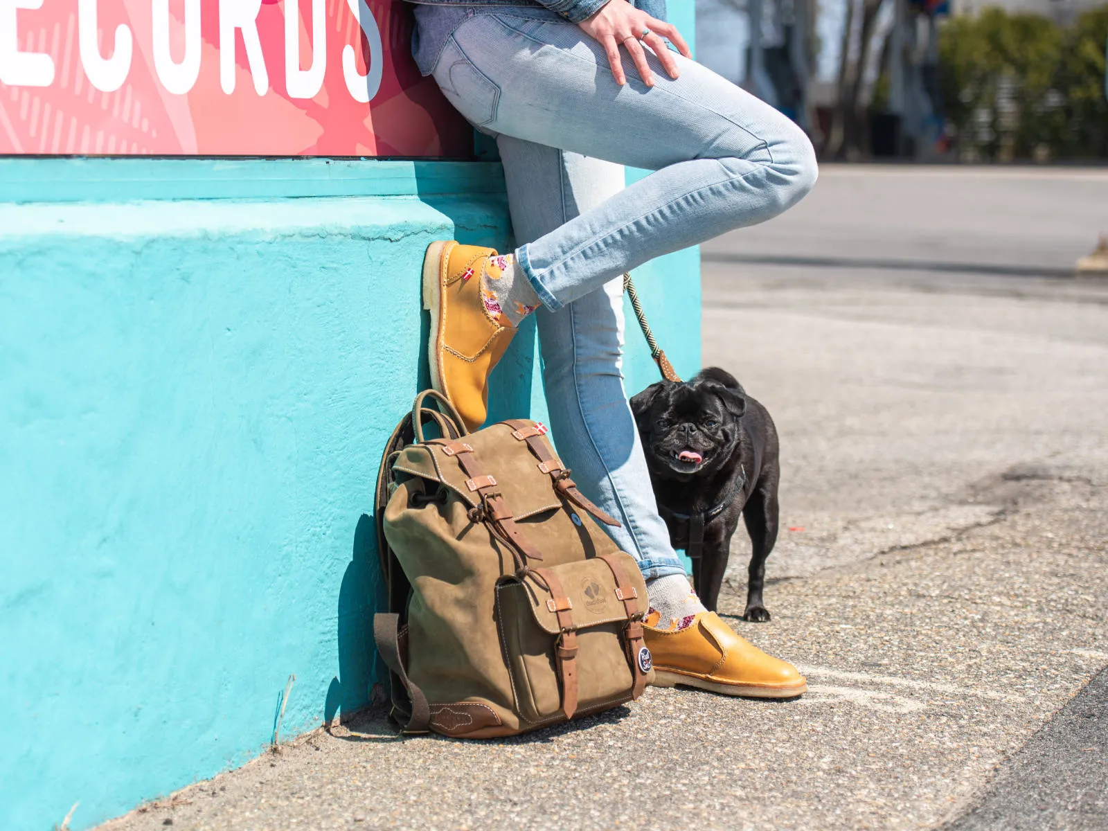 Falster | Cocoa