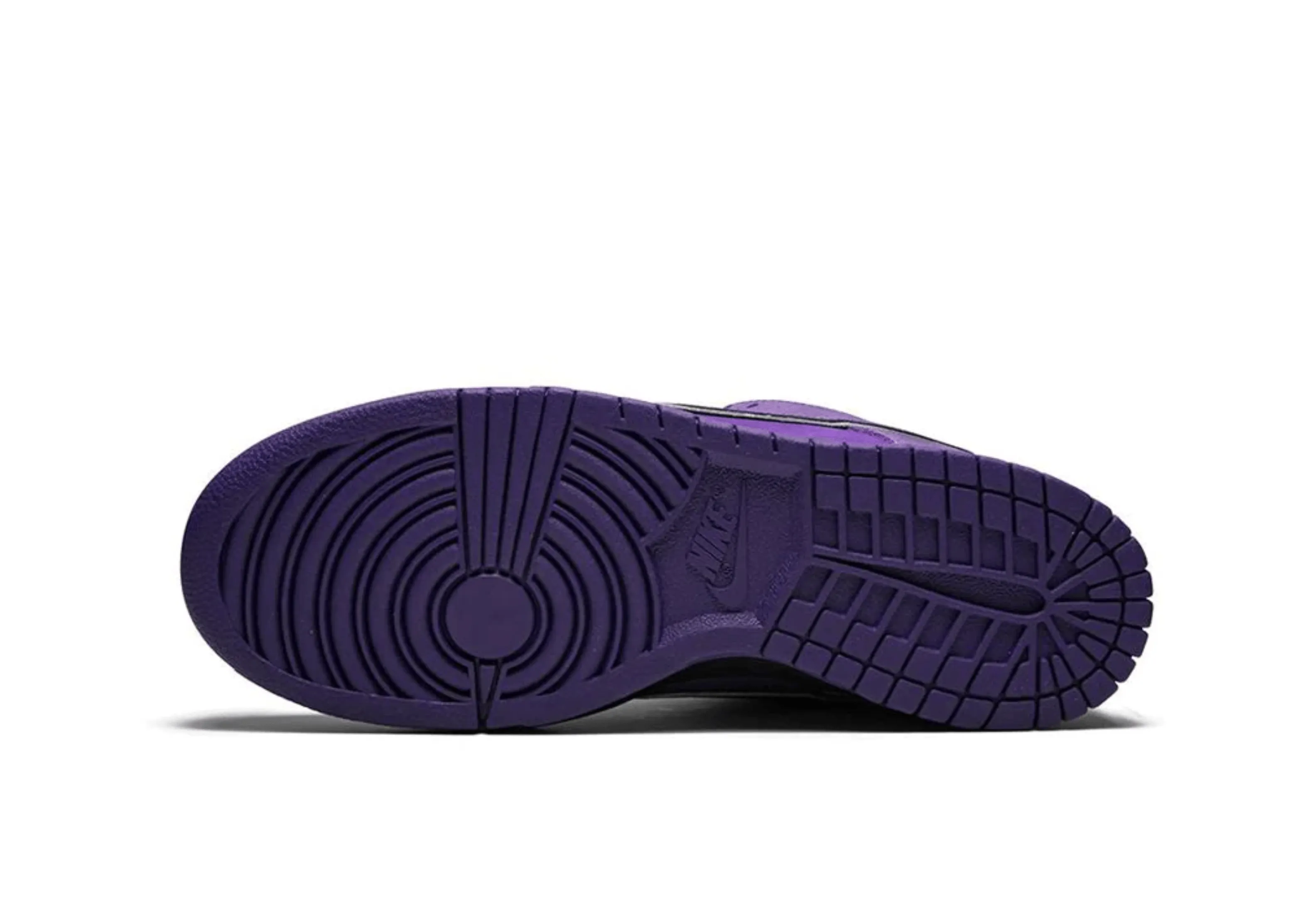 Nike Dunk Sb Low Concepts Purple Lobster